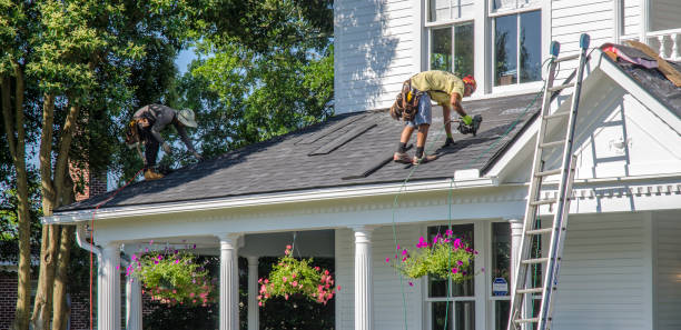 Best Roof Gutter Cleaning  in St Martinville, LA